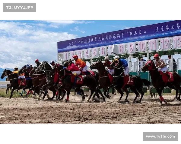 昭苏WKG赛事联动天马文化 草原风光与格斗擂台完美融合